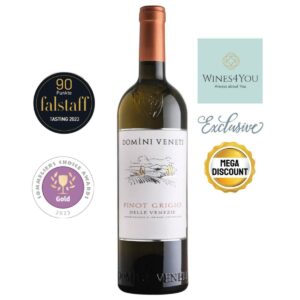 Domini Veneti Pinot Grigio DOC Italy White Wine 2023