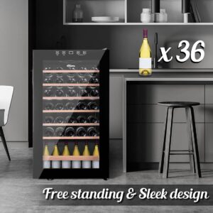 PowerPac Wine Chiller 36 Bottles (PPF36)
