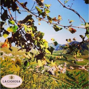 La gioiosa Cadivo Sparkling Italian - Sparkling Wine