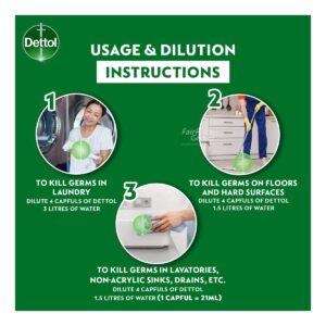 Dettol Antiseptic Germicide Liquid