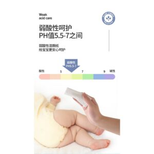 Wet Toilet Tissues Flushable Wipes