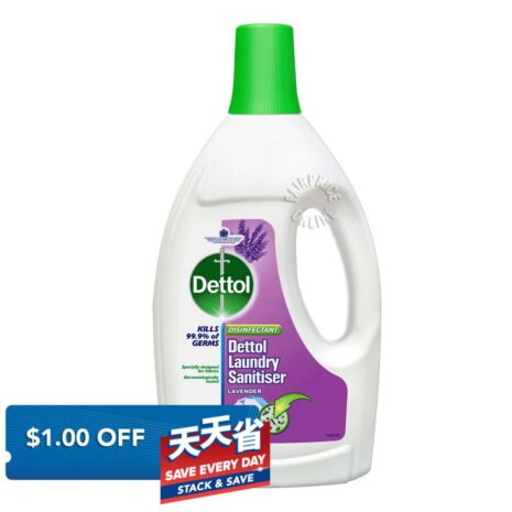 13203344_XL1_20250617.jpg 13203344_XL1_20250617.jpg