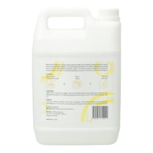 GW Anti-bacterial Dishwashing Liquid - Lemon
