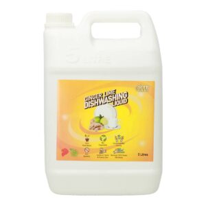 GW Anti-bacterial Dishwashing Liquid - Ginger Lime