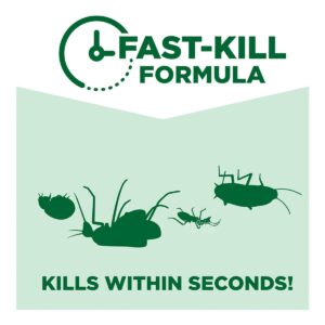 Baygon Multi Insect Killer - Maximum Killing Action