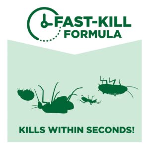 Baygon Protector Multi Insect Killer - Long Lasting Protection