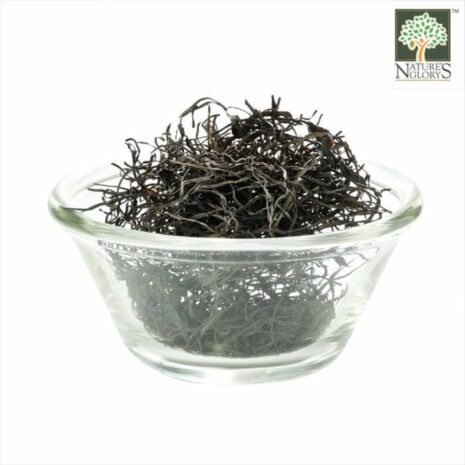 90091406_LXL1_20250828131731_9cfecc2af54d5da0d638bc6fddb7cb30.jpg 90091406_LXL1_20250828131731_9cfecc2af54d5da0d638bc6fddb7cb30.jpg