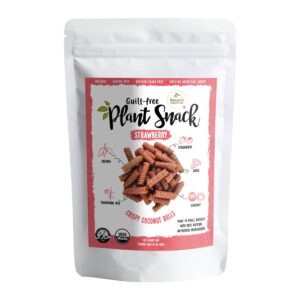 Organic Crispy Coconut Rolls Snack - Strawberry