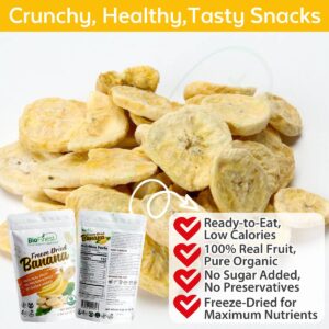 Biofinest Freeze-Dried Banana Snack Organic Fruit No Sugar