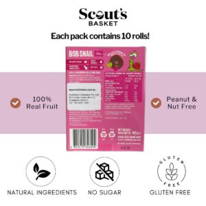 Bob Snail - Fruit Rolls Apple-Raspberry 100g