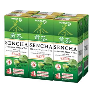Pokka Packet Drink Sencha Japanese Green Tea - No Sugar