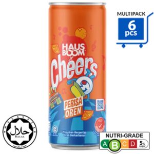Cheers Can Drink - Orange Flavour & Bubbles (325ml x 6)