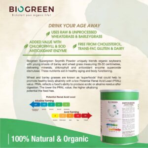 Biogreen BIOGREEN Supergreen Soymilk - Organic Liver Health