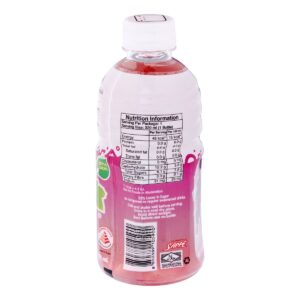 Mogu Mogu Juice Bottle Drink - Grape