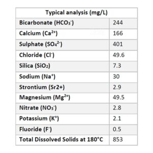 San Pellegrino Natural Mineral Bottle Water - Sparkling