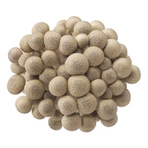 Hokto Bunashimeiji Mushroom