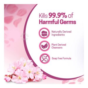 Dettol Anti-Bacterial Hand Wash - Skincare