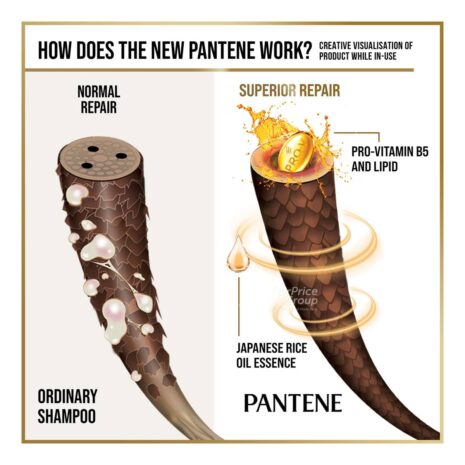 13194386_RXL1_20220210.jpg 13194386_RXL1_20220210.jpg