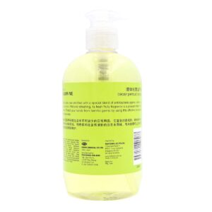 Follow Me Anti-bacterial Handwash - Peach Sensation