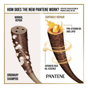 Pantene Conditioner - Hair Fall Control