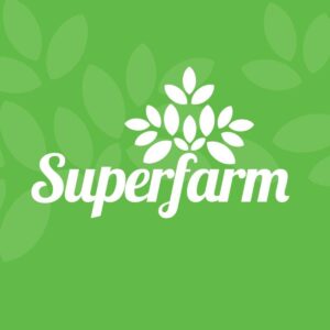 Superfarm Organic Hulled Sticky Millet