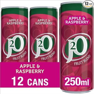 J2O Fruit Juice, Apple and Raspberry, 250ml Cans (Pack of 12)